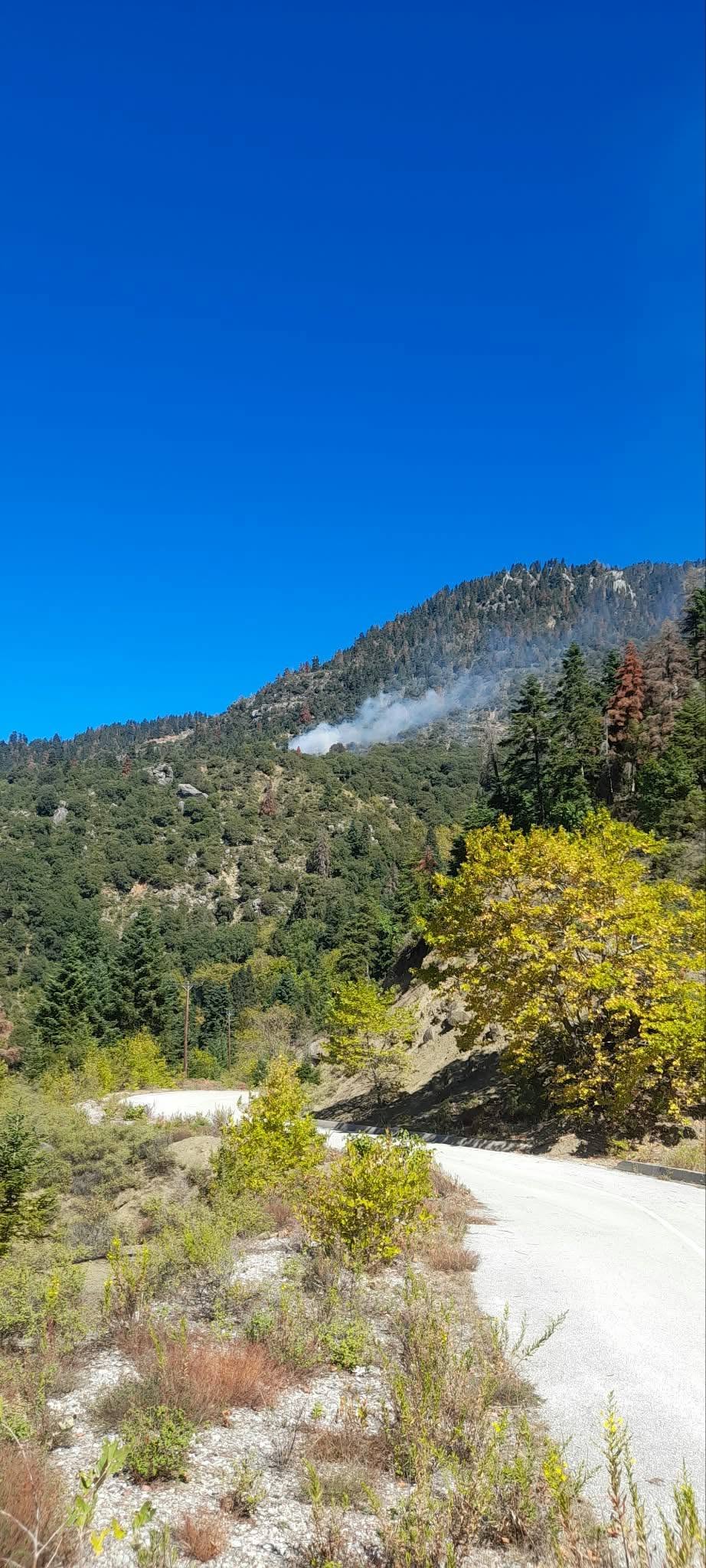 Φωτιά σε δάσος στο Καταφύλλι Καρδίτσας, επιχειρεί και ελικόπτερο