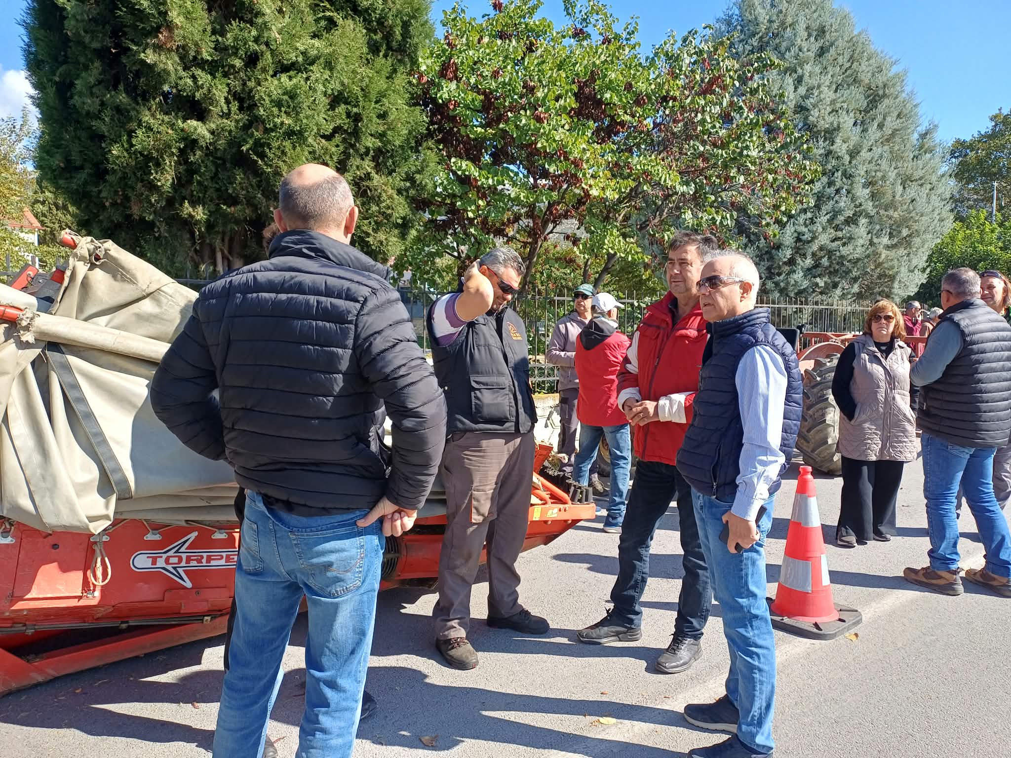 Ελαιοπαραγωγοί σε απόγνωση στο Πουρνάρι Συκουρίου: Χαμηλές τιμές, υψηλό κόστος και αποτυχία δακοκτονίας (ΦΩΤΟ+video)