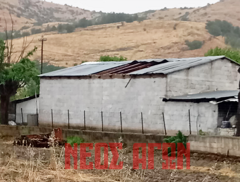 Αυτοψία από τον ΕΛΓΑ σε πληγείσες καλλιέργειες στο Ν. Καρδίτσας (φωτο)