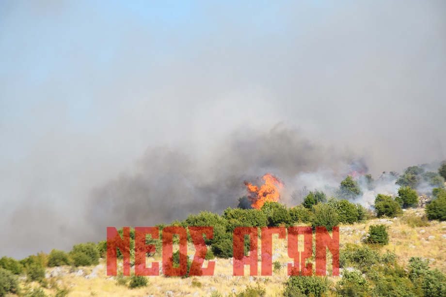 Μεγάλη φωτιά σε εξελιξη στο Καλλίθηρο Καρδίτσας-επιχειρούν 40 πθυροσβέστες και 6 αερροσκαφη (ΦΩΤΟ+video)