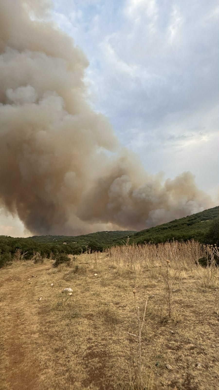Καίει όλη νύχτα η πυρκαγιά που ξέσπασε το απόγευμα στο Δαμάσι (ΦΩΤΟ+video)