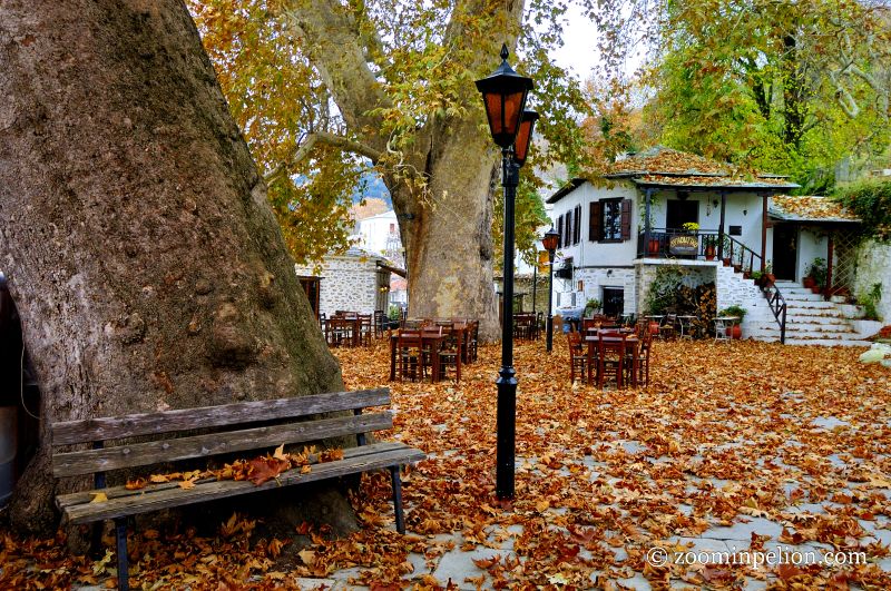 Πορταριά, Μηλιές, Ζαγορά, Μακρινίτσα: Φθινοπωρινή απόδραση στα χωριά του Πηλίου