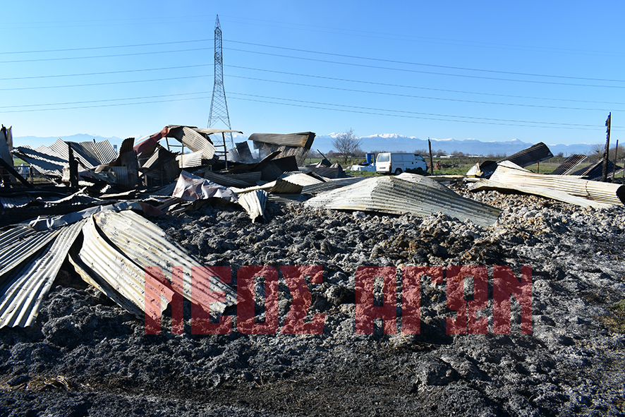 Στάχτη οι  κόποι μιας ζωής για κτηνοτρόφο από τους Γοργοβίτες (ΦΩΤΟ - ΒΙΝΤΕΟ)