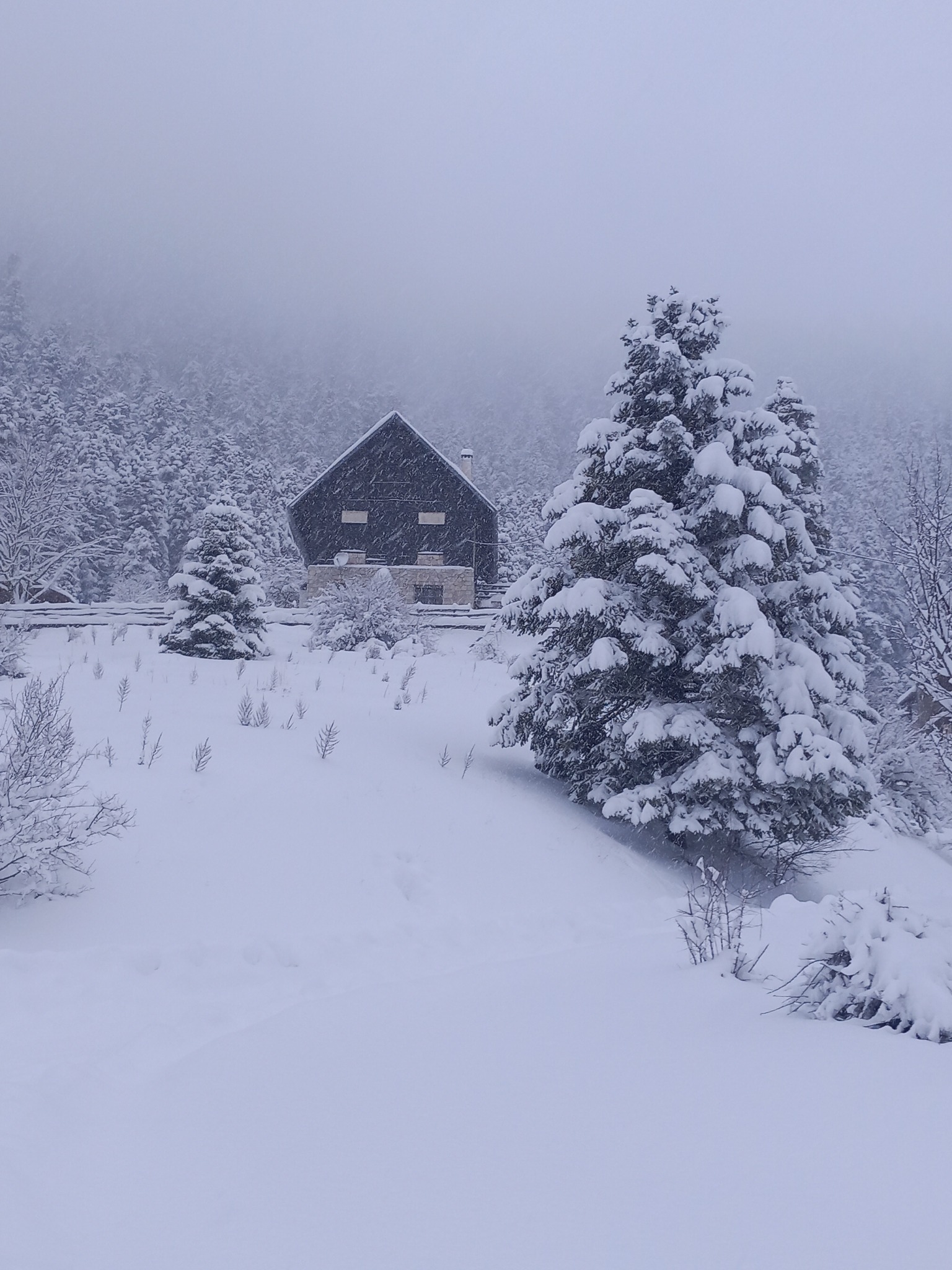 Χιονισμένο πανέμορφο Περτούλι: Το Νταβός της Ελλάδας (ΦΩΤΟ)