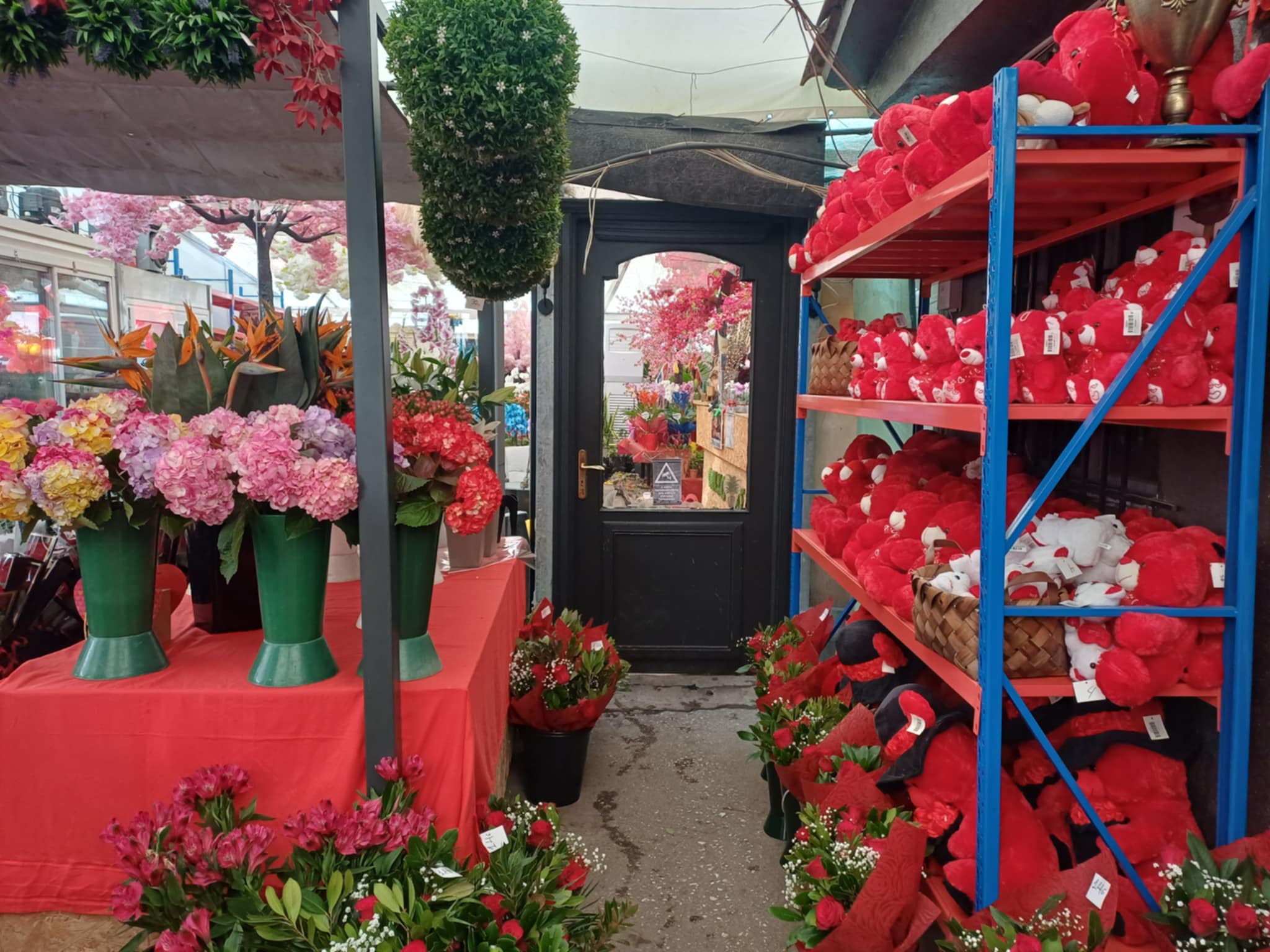 Η Λάρισα γιορτάζει τον Βαλεντίνο σε ανθοπωλεία και ζαχαροπλαστεία... (ΦΩΤΟ)