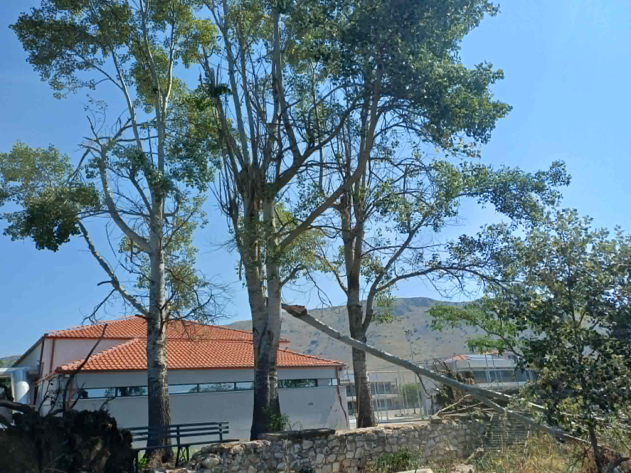 Μετρά τις πληγές του από το μπουρίνι ο Δήμος Φαρκαδόνας: έπεσαν δέντρα, στύλοι της ΔΕΗ, ξηλώθηκαν σκεπές (ΦΩΤΟ)
