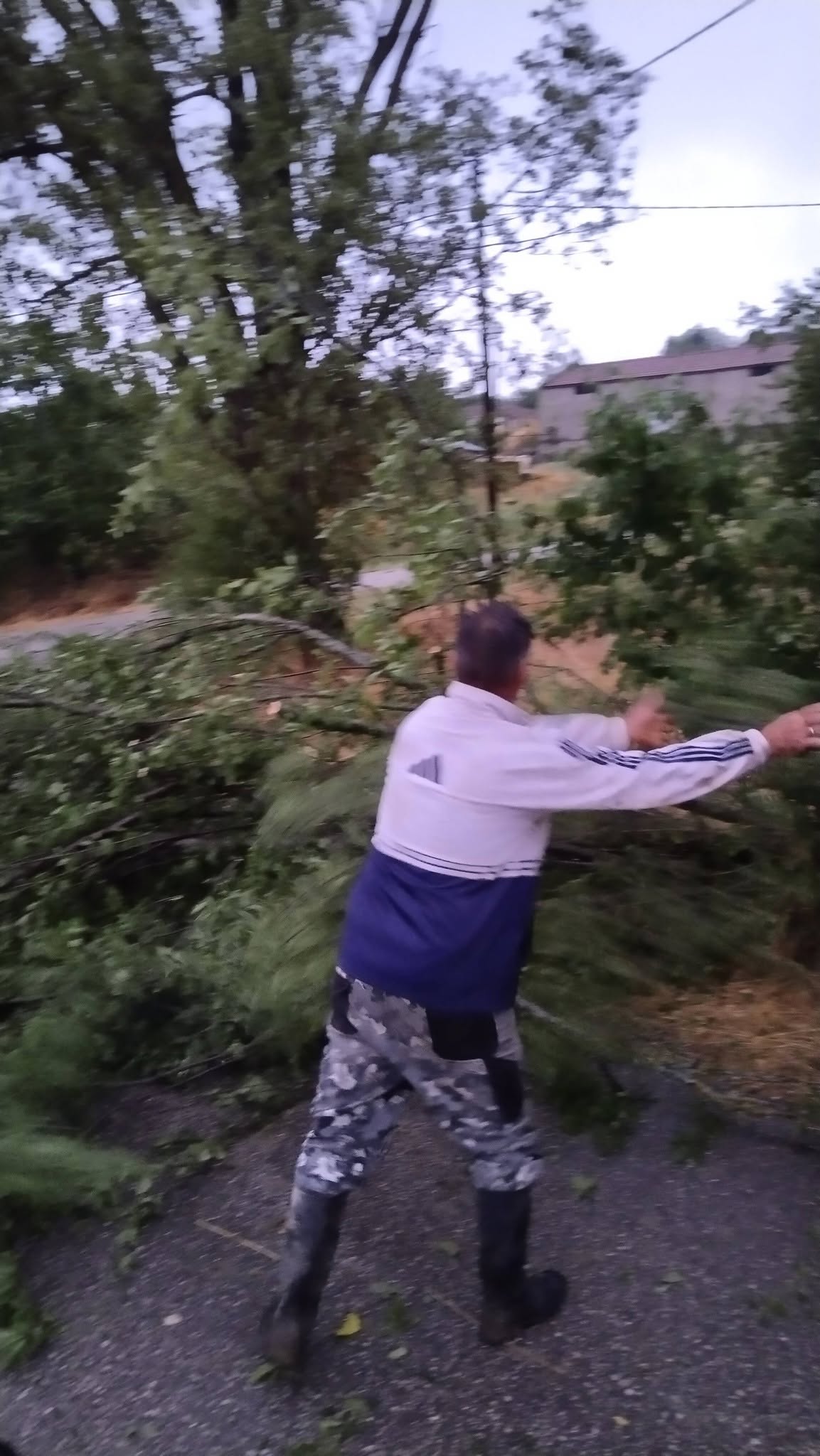 Φάρσαλα, Βόρεια Φθιώτιδα και Β. Εύβοια τα μεγαλύετρα ύψη βροχής και οι μεγάλες καταστροφές (ΦΩΤΟ)