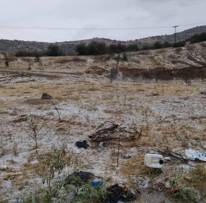 Τεράστις ζημιές σε καλλιέργειες και στην Ποταμιά Ελασσόνας- χαλάζι και σφοδρός άνεμος θέρισαν την περιοχή (ΦΩΤΟ)