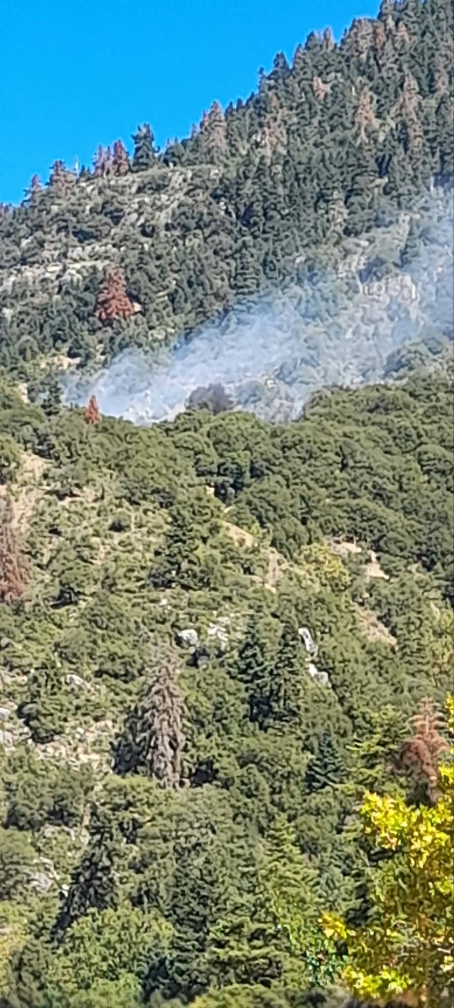 Φωτιά σε δάσος στο Καταφύλλι Καρδίτσας, επιχειρεί και ελικόπτερο