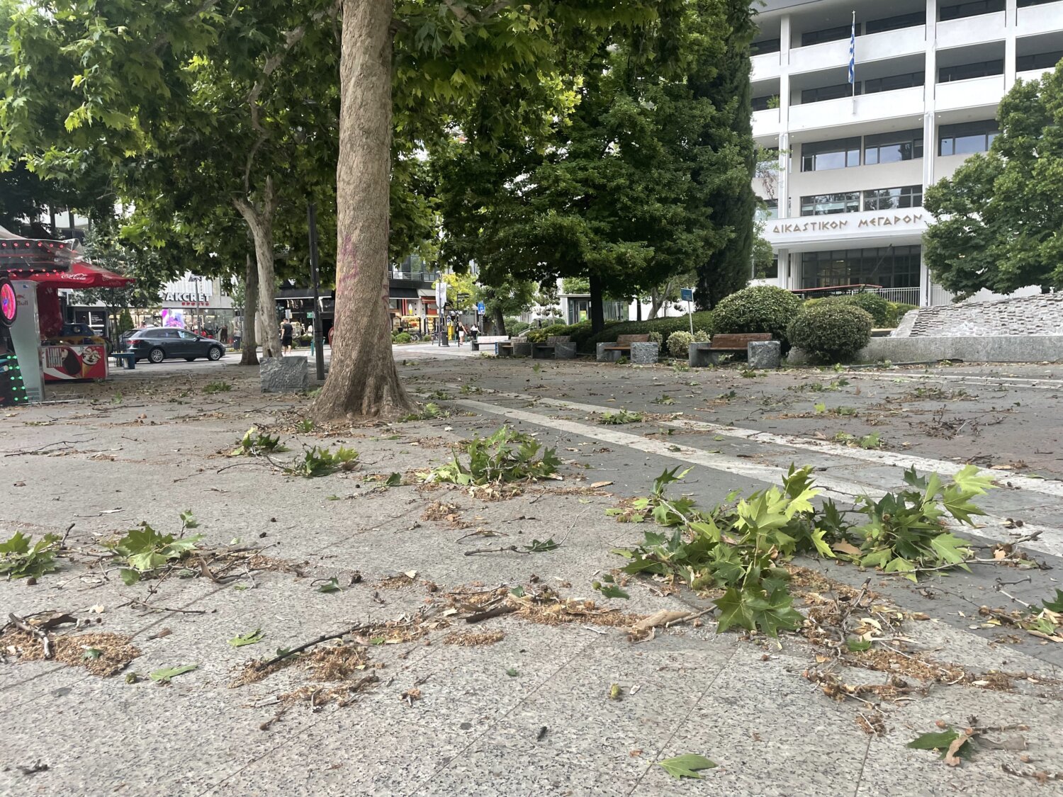 Ανεμοστρόβιλος ξήλωσε τη στέγη από το 5ο Λύκειο στη Λάρισα και έσπασε δέντρο -Δείτε εικόνες