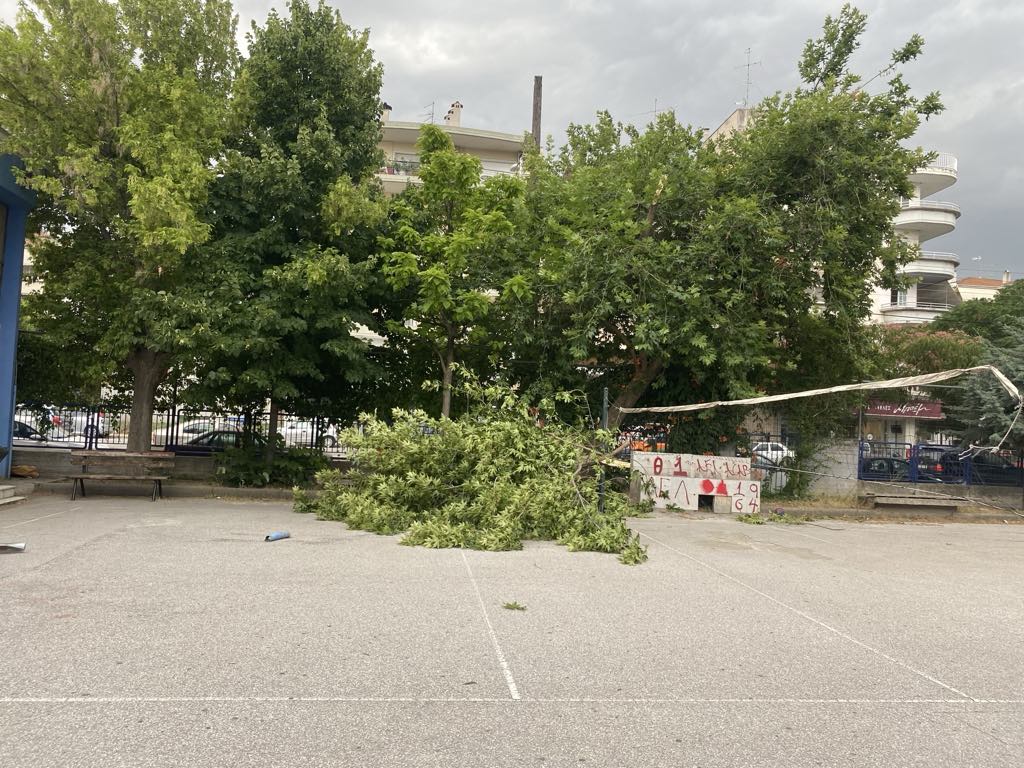 Βομβαρδισμένη πόλη η Λάρισα από το μπουρίνι: Φωτιά στην Καρδίτσης από κεραυνό, σπάσιμο δέντρων και ξήλωμα στεγών (ΦΩΤΟ)