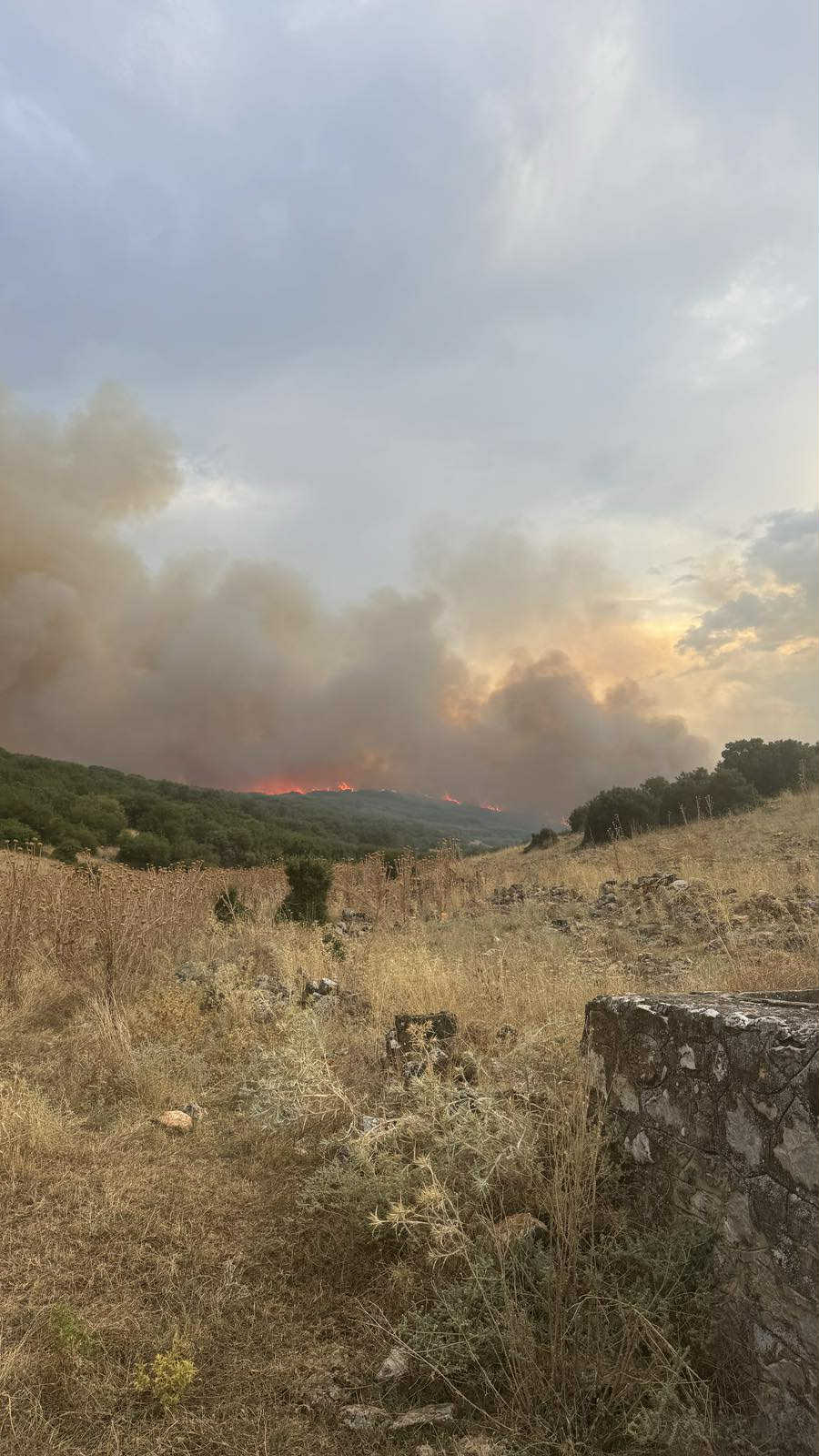 Καίει όλη νύχτα η πυρκαγιά που ξέσπασε το απόγευμα στο Δαμάσι (ΦΩΤΟ+video)