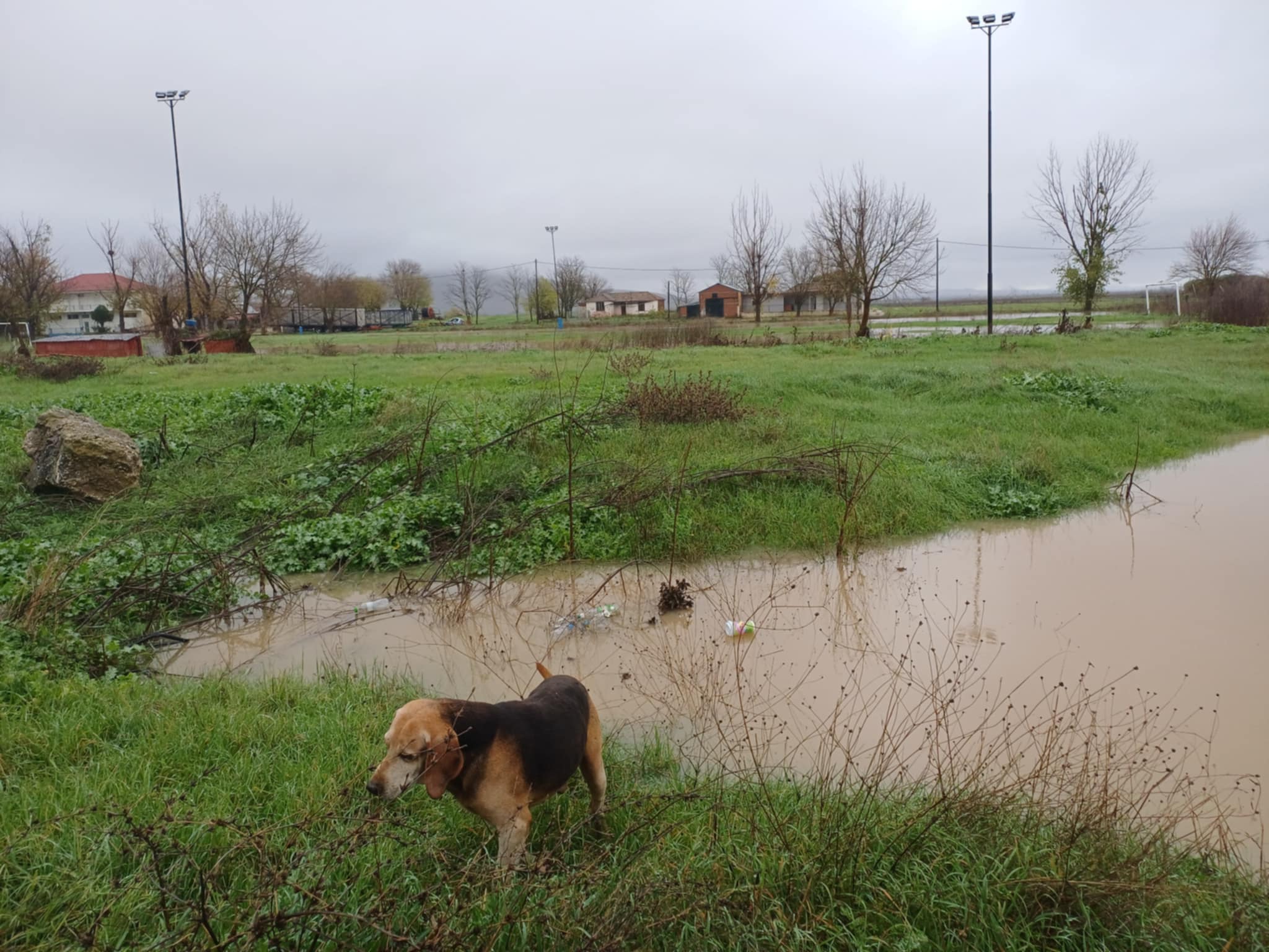 Ζουν ξανά τον εφιάλτη του Ντάνιελ:  προβλήματα με γέφυρα Ενιπέα στο Ευίδριο, υπερχείλισε ο Ταμπάκος- έπεσε η διάβαση Αμπελιάς