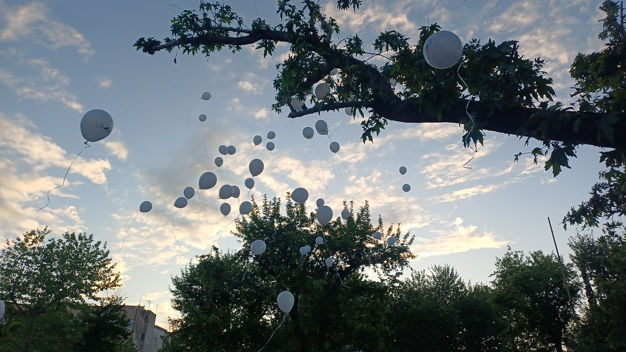 Η Λάρισα άνοιξε μια μεγάλη αγκαλιά  στην κεντρική πλατεία -επίσημη έναρξη του «Μαζί Μια Αγκαλιά 2026» (ΦΩΤΟ+video)