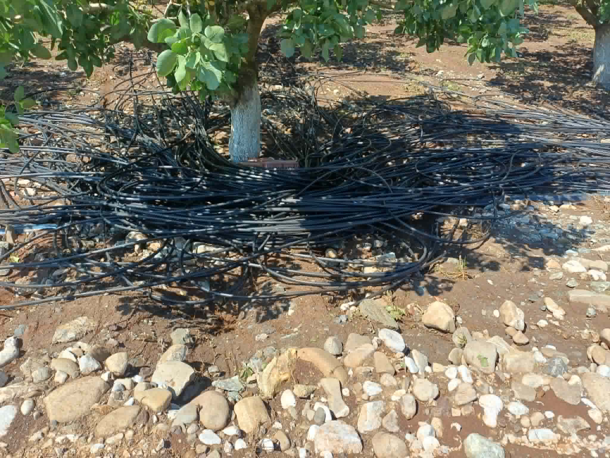 Τεράστιες ζημιές σε καλλιέργειες από το μπουρίνι και το χαλάζι στα Φάρσαλα- έπεσε η γέφυρα στο Δίλοφο (ΦΩΤΟ)