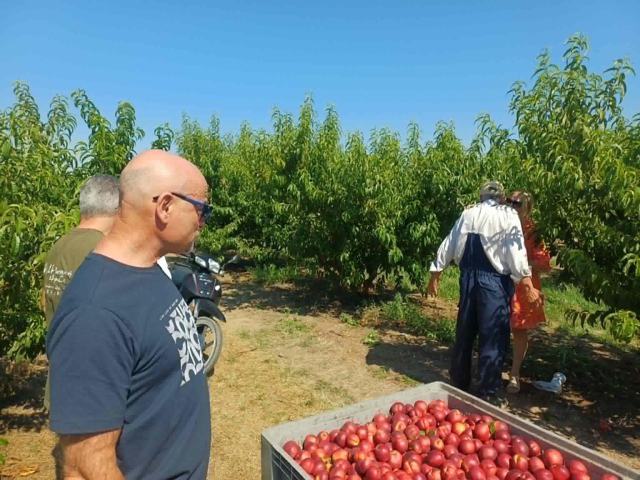 Πράξη αλληλεγγύης: Λαρισαίος αγρότης χάρισε ολόκληρη τη σοδειά του (ΦΩΤΟ)