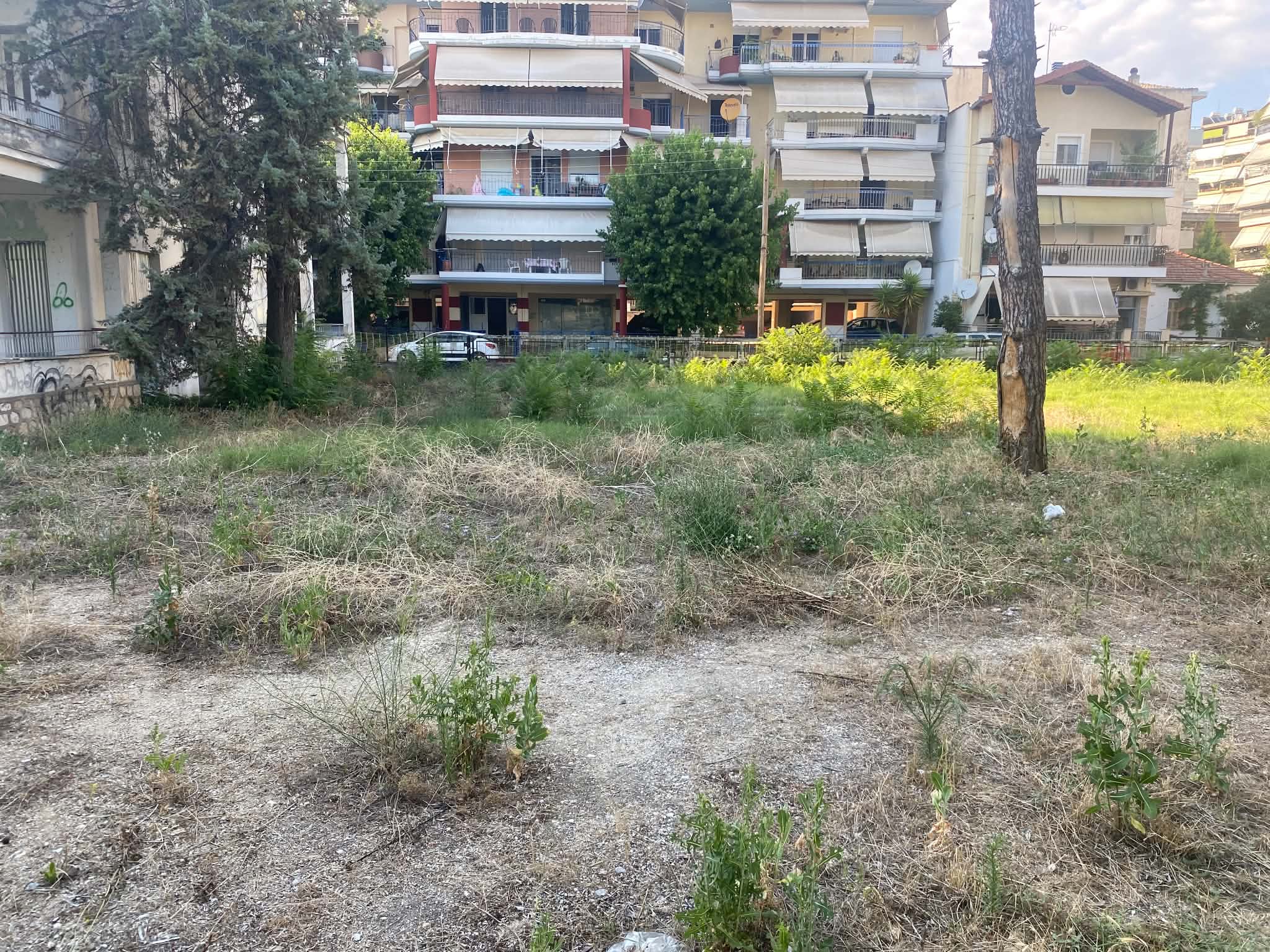 Βραδυφλεγής βόμβα για πυρκαγιά ακαθάριστη δημοτική έκταση στο κέντρο της Λάρισας (ΦΩΤΟ)