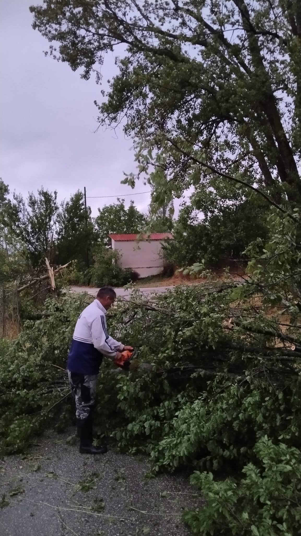 Φάρσαλα, Βόρεια Φθιώτιδα και Β. Εύβοια τα μεγαλύετρα ύψη βροχής και οι μεγάλες καταστροφές (ΦΩΤΟ)