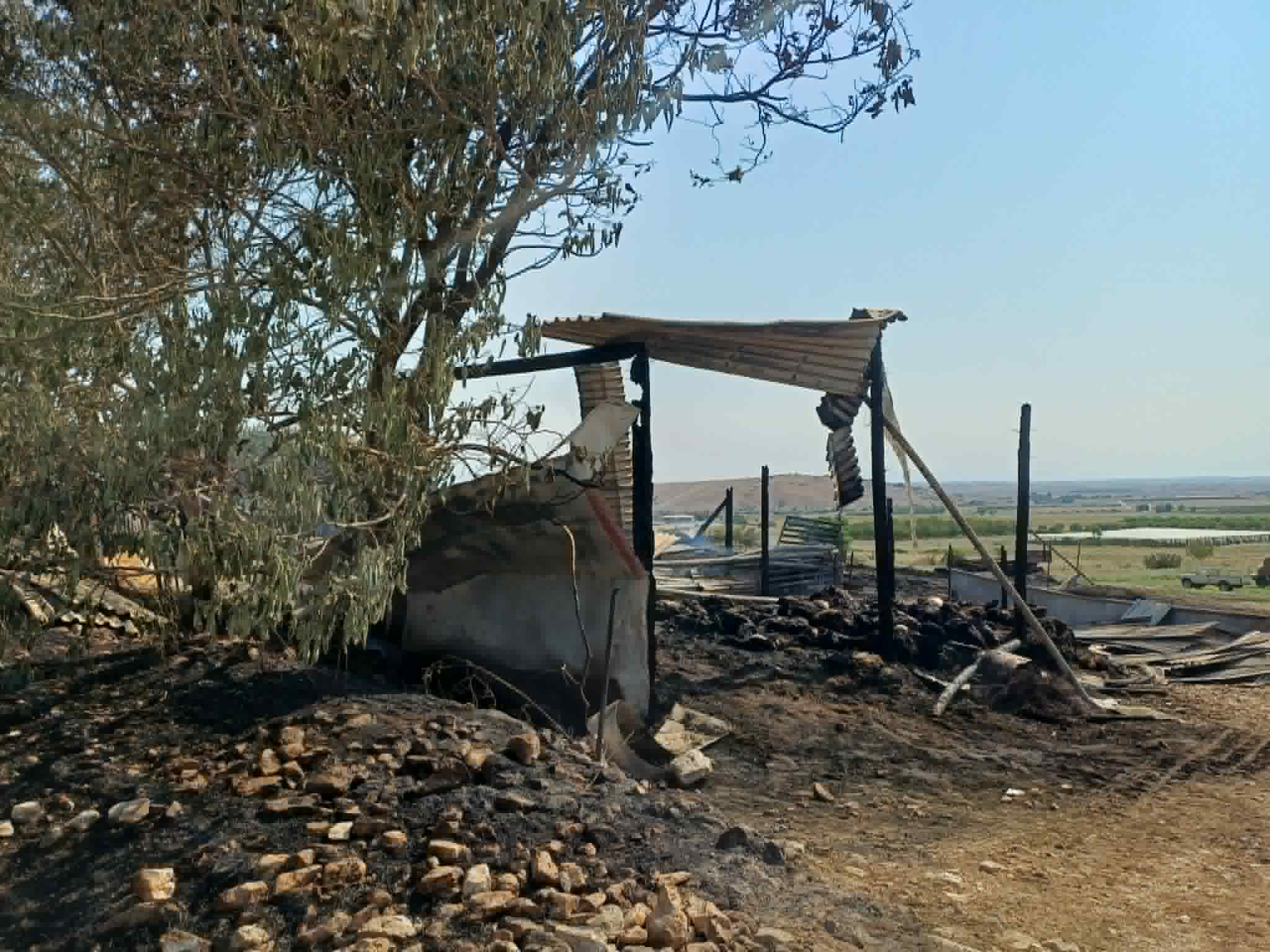 Στάχτη 70 αμνοερίφια, ζωοτροφές και το μαντρί κτηνοτρόφου στο Λουτρό Λάρισας- σκληρές εικόνες