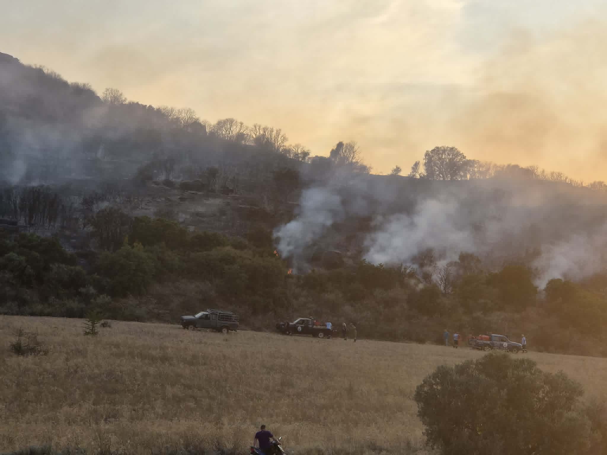 Υπό έλεγχο τα πύρινα μέτωπα στον Βόλο – Εξετάζεται το ενδεχόμενο εμπρησμού (ΦΩΤΟ+video)