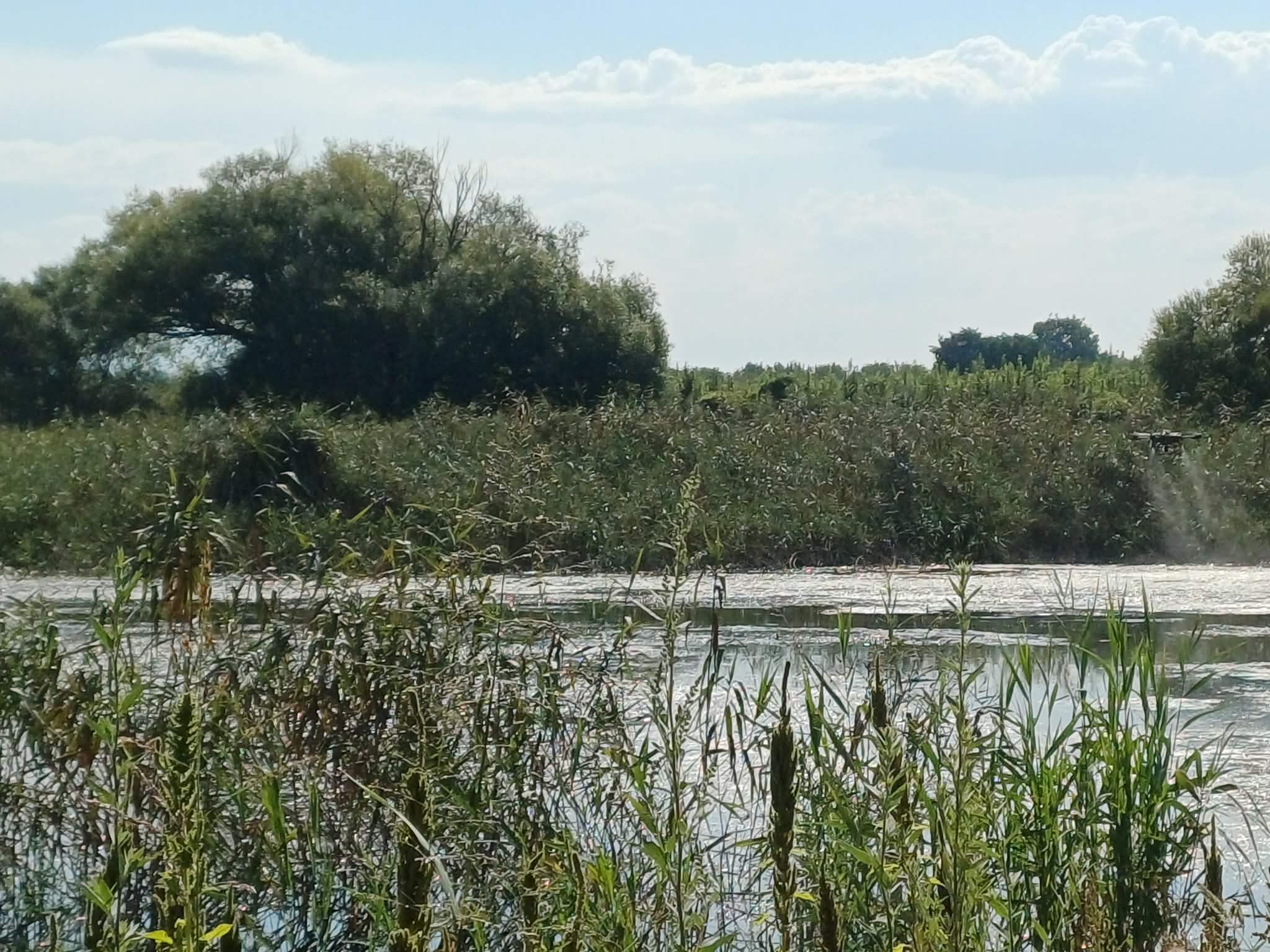 Ψεκασμοί στο Μάτι Τυρναβου κατά των κουνουπιών με drone  από την περιφερεια (ΦΩΤΟ+video)