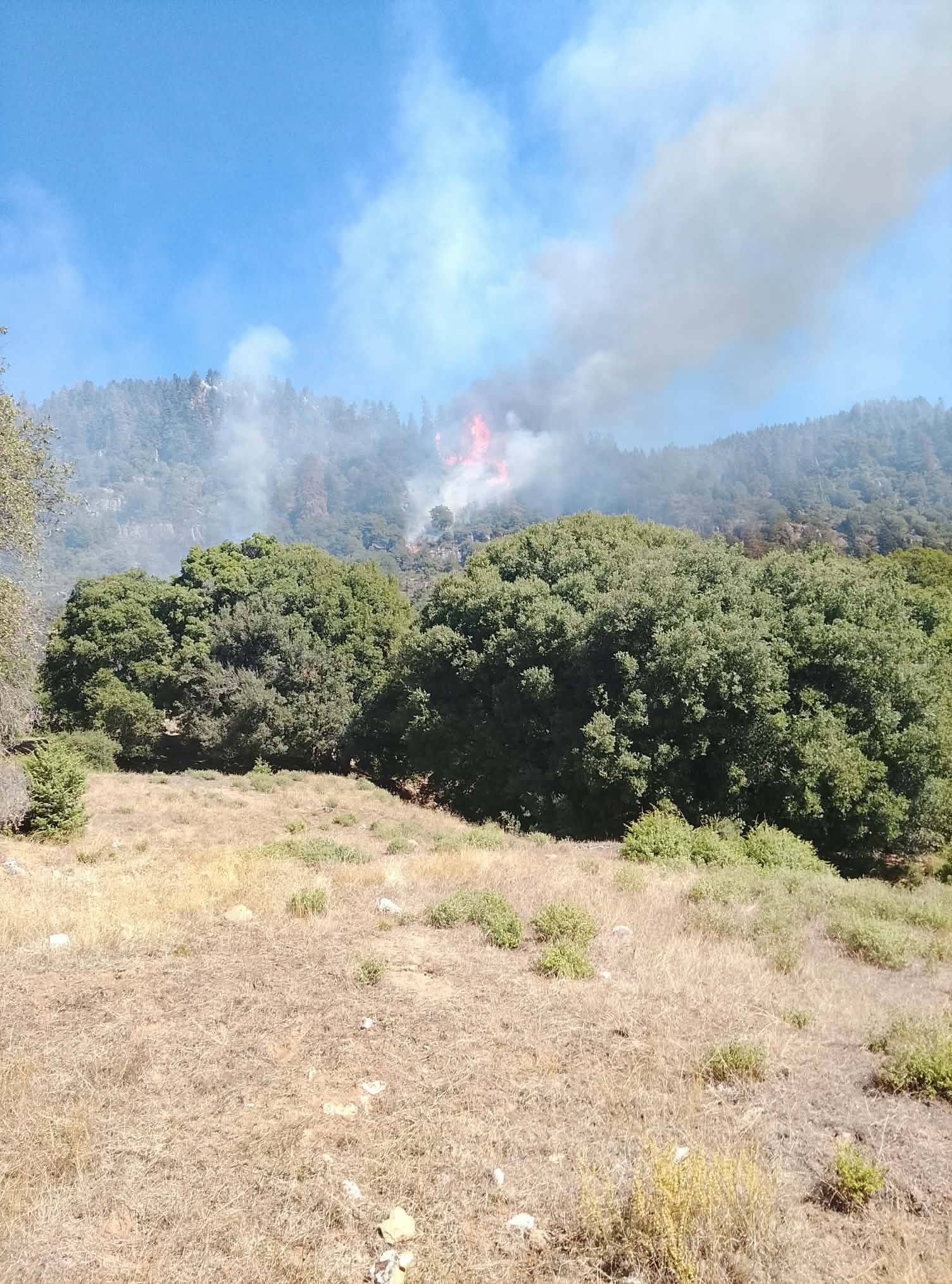 Φωτιά σε δάσος στο Καταφύλλι Καρδίτσας, επιχειρεί και ελικόπτερο