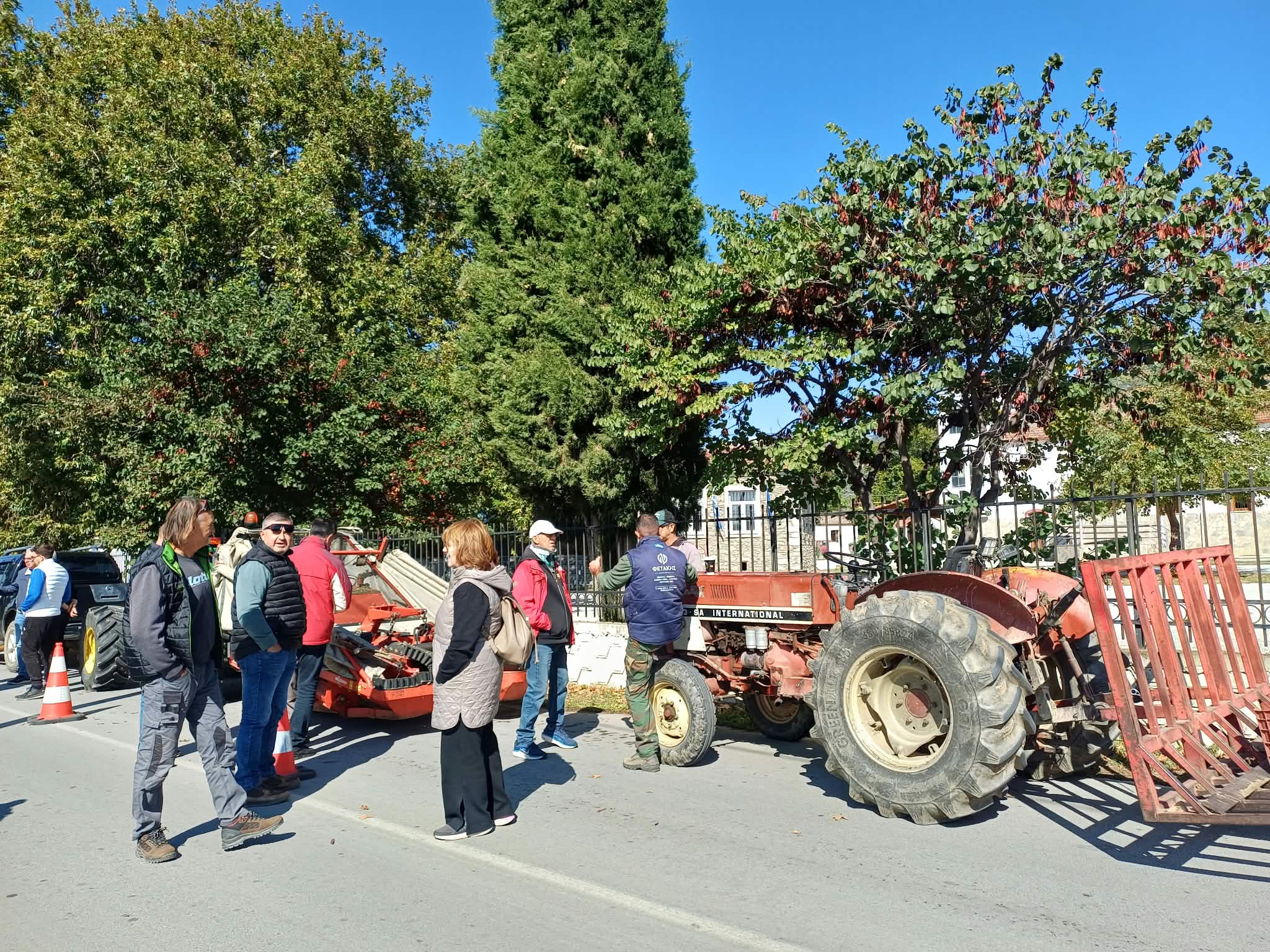 Ελαιοπαραγωγοί σε απόγνωση στο Πουρνάρι Συκουρίου: Χαμηλές τιμές, υψηλό κόστος και αποτυχία δακοκτονίας (ΦΩΤΟ+video)