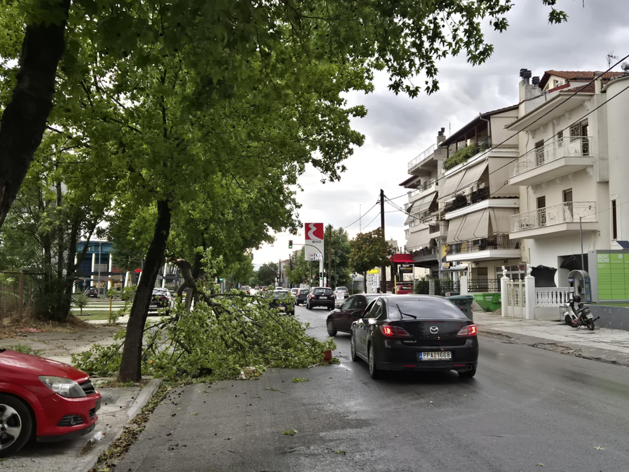 Βομβαρδισμένη πόλη η Λάρισα από το μπουρίνι: Φωτιά στην Καρδίτσης από κεραυνό, σπάσιμο δέντρων και ξήλωμα στεγών (ΦΩΤΟ)