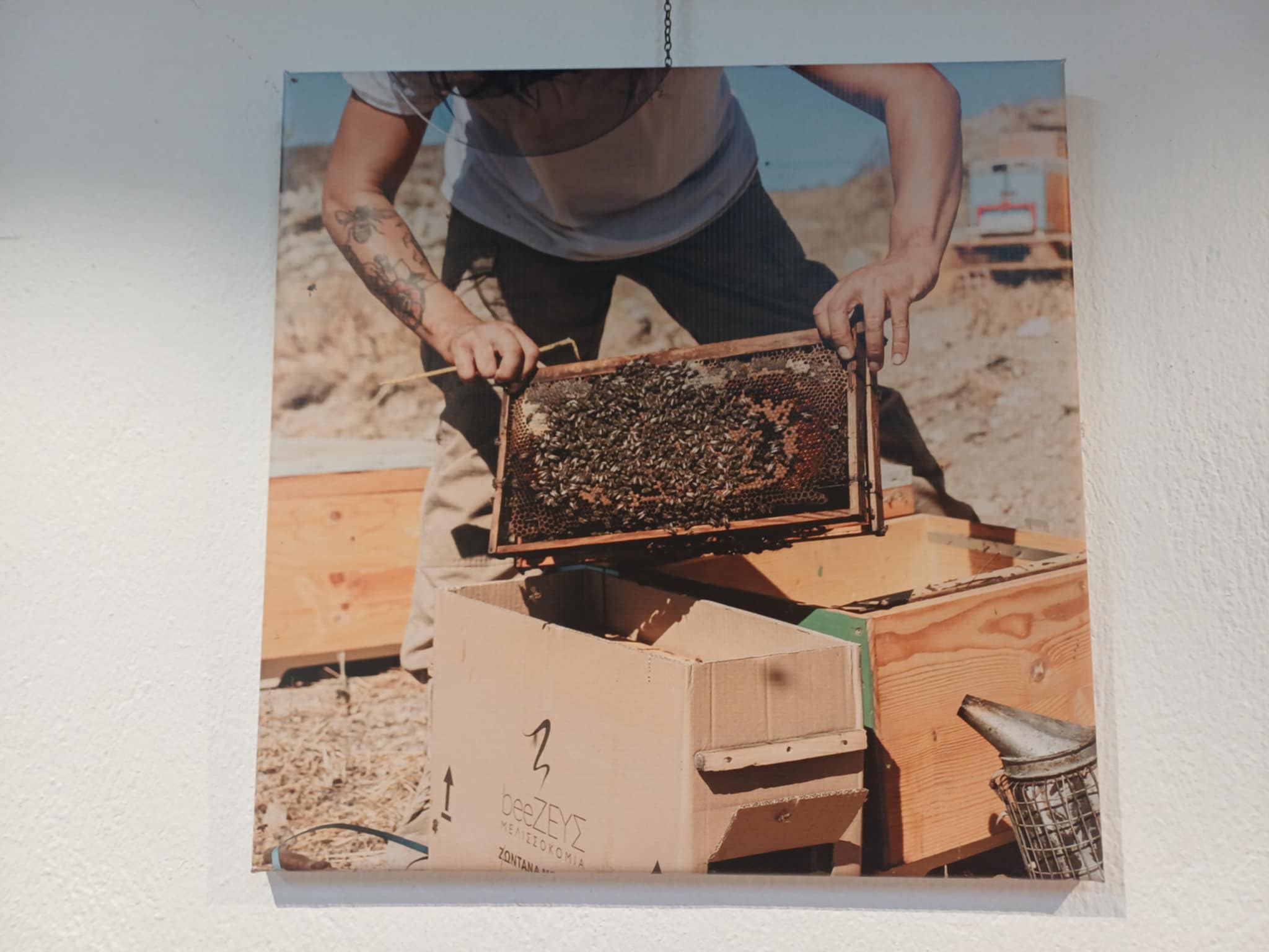 Ξεκινά σήμερα το «Bee Day Festival» στο Μύλο του Παππά (ΦΩΤΟ)