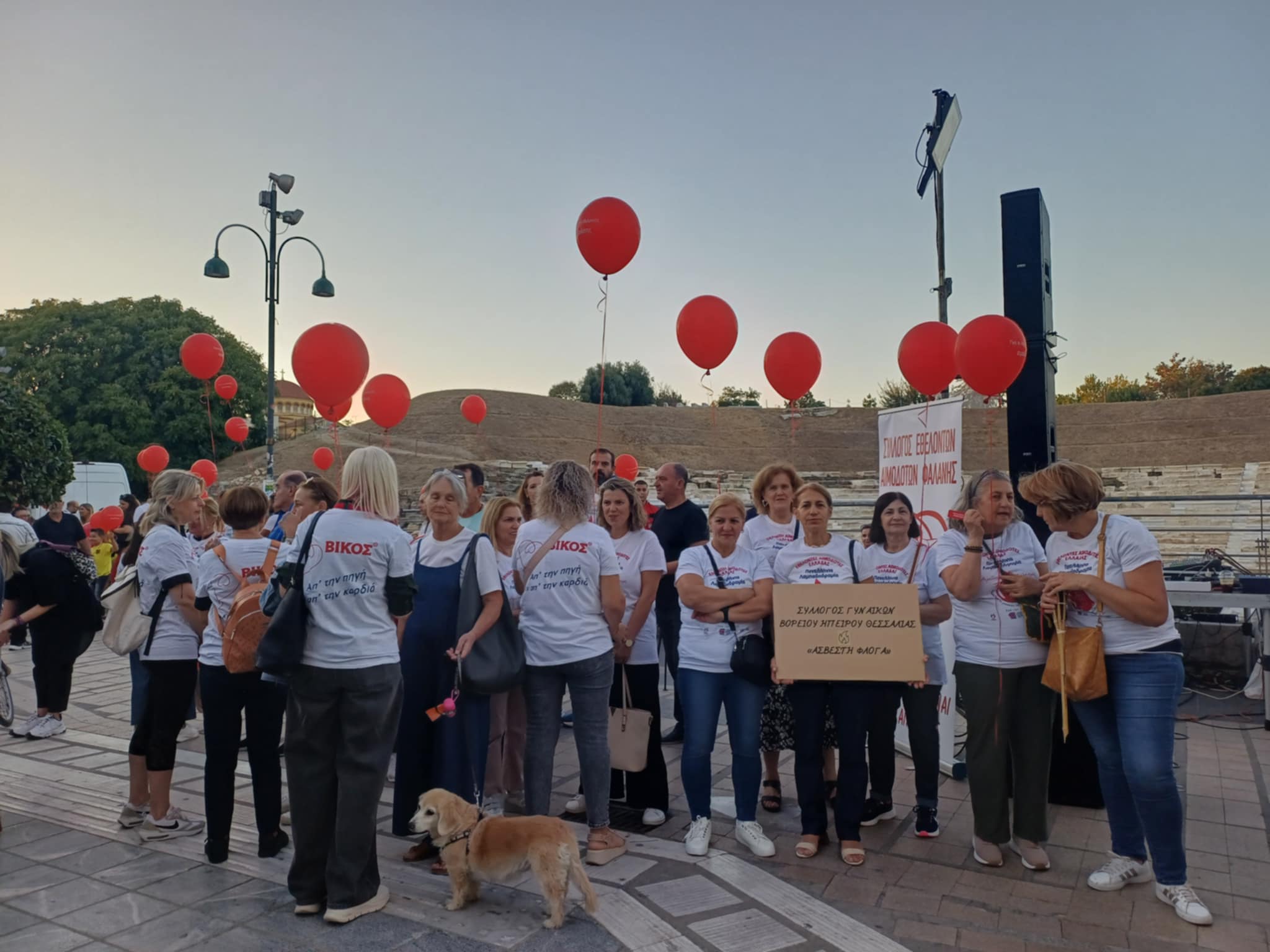 Η φλόγα τηα αγάπης άναψε απόψε στη Λάρισα- Λαμπαδηδρομία Εθελοντών Αιμοδοτών (ΦΩΤΟ+video)