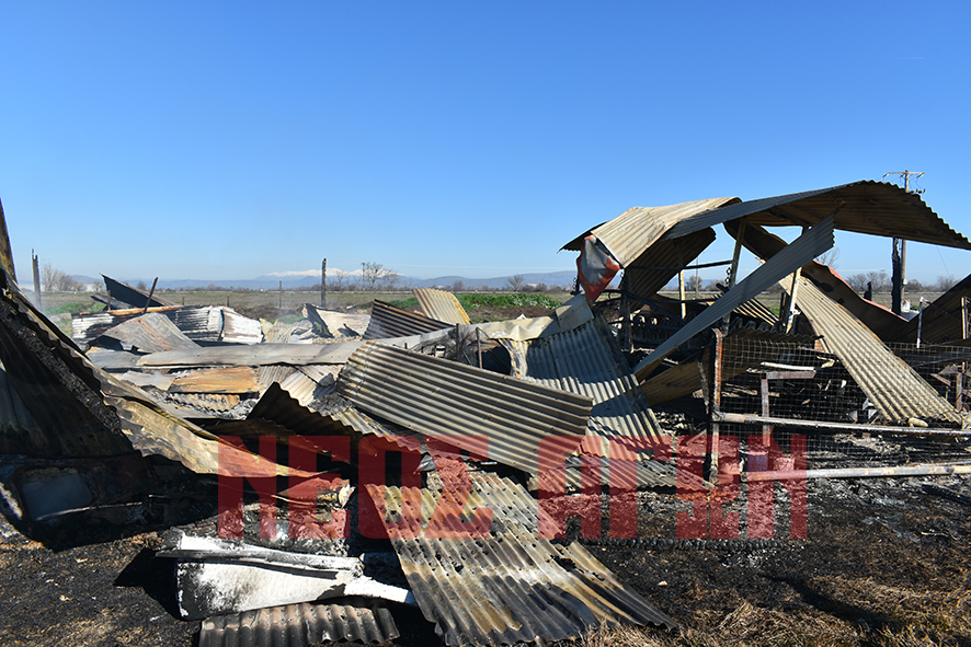 Στάχτη οι  κόποι μιας ζωής για κτηνοτρόφο από τους Γοργοβίτες (ΦΩΤΟ - ΒΙΝΤΕΟ)