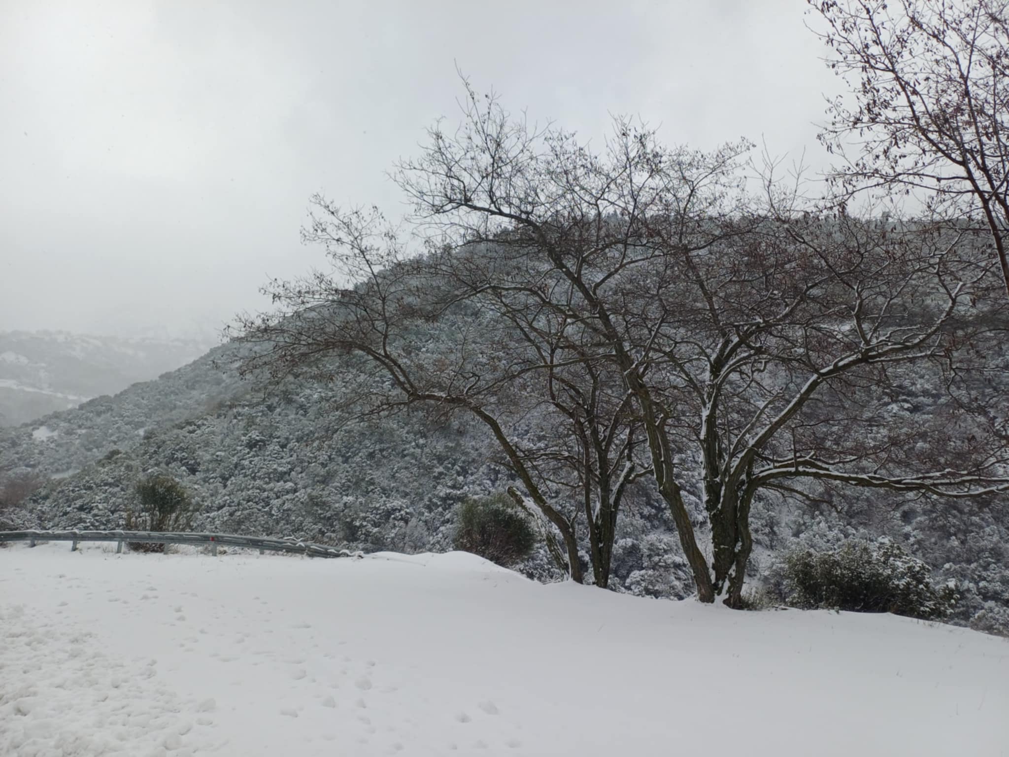 Στα λευκά τα ορεινά χωριά του Κισσάβου- η Θεσσαλία τηλεόραση στη Σπηλιά -με 40 πόντους χιόνιi(ΦΩΤΟ)
