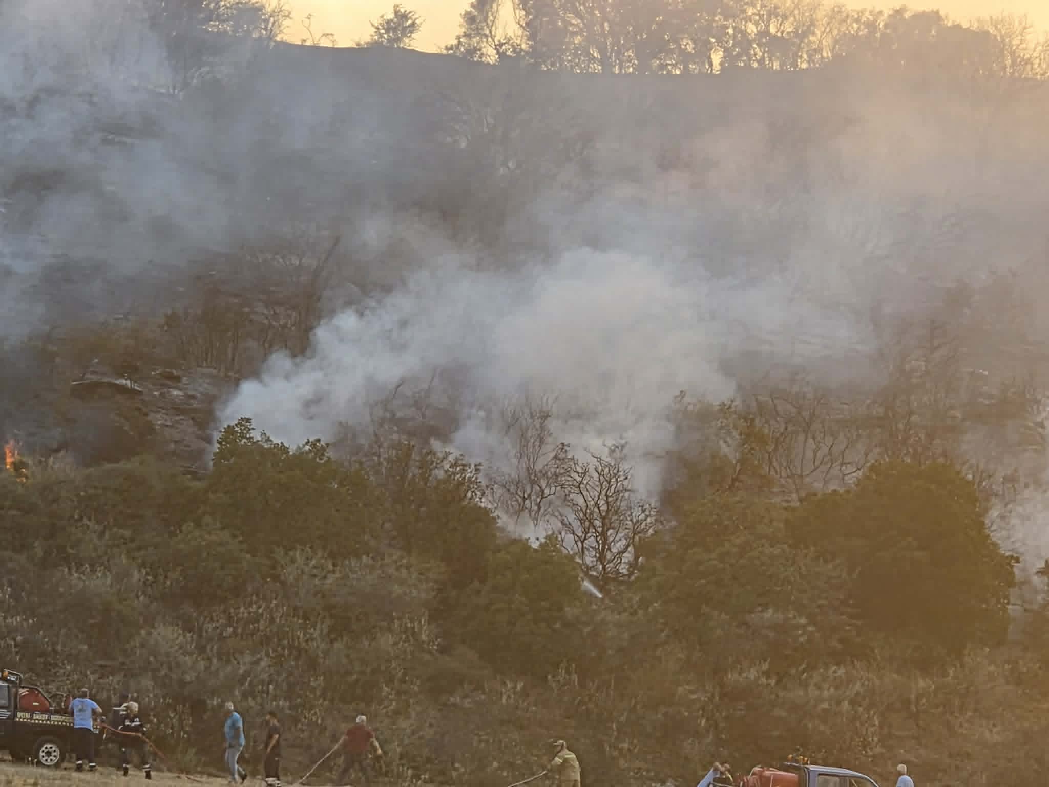 Υπό έλεγχο τα πύρινα μέτωπα στον Βόλο – Εξετάζεται το ενδεχόμενο εμπρησμού (ΦΩΤΟ+video)