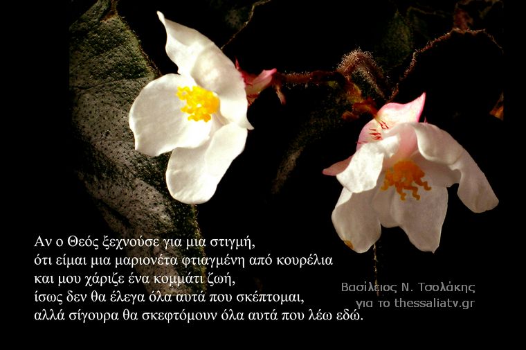Τα άνθη του....καλού