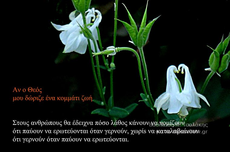 Τα άνθη του....καλού