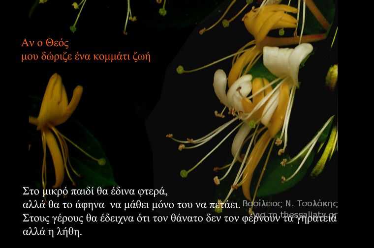 Τα άνθη του....καλού