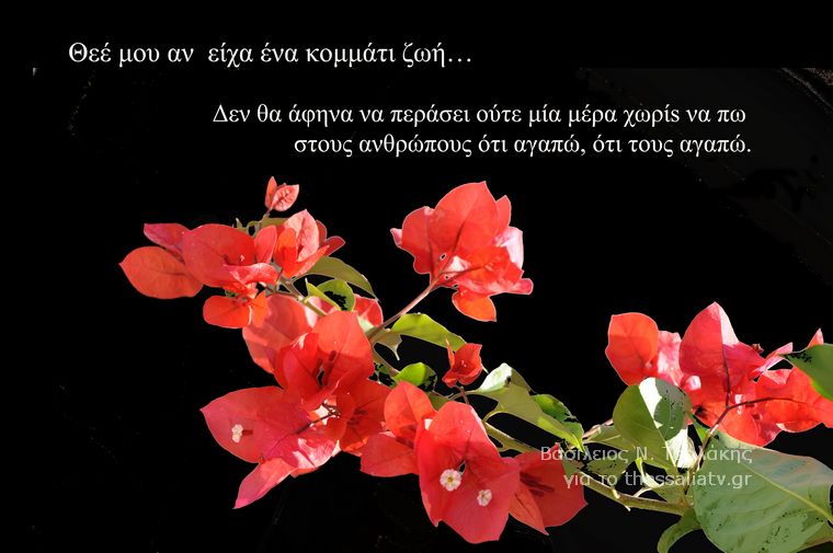 Τα άνθη του....καλού