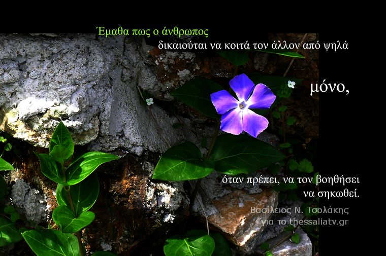 Τα άνθη του....καλού