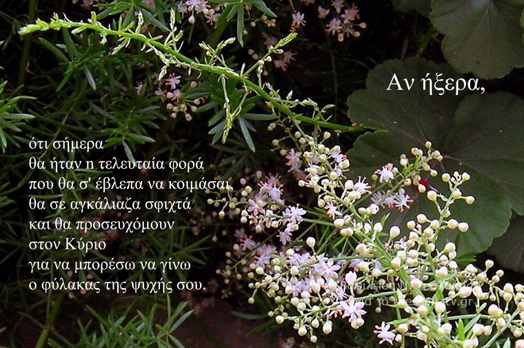 Τα άνθη του....καλού