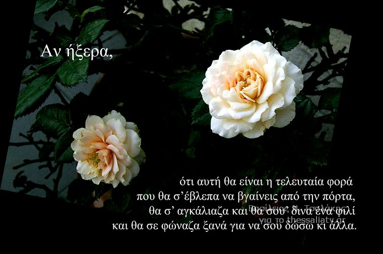 Τα άνθη του....καλού