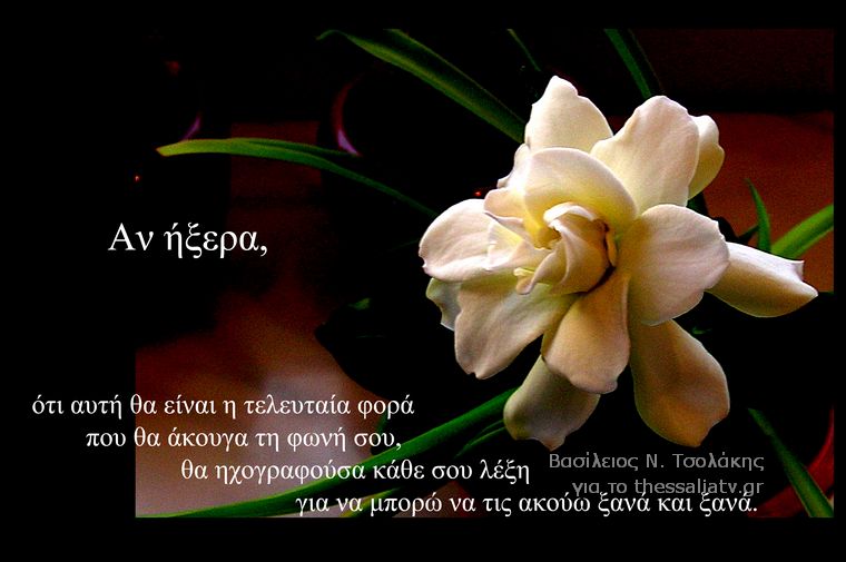 Τα άνθη του....καλού