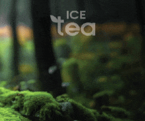 ICE TEA ΟΛΥΜΠΟΣ