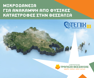 Μικροδάνεια Ανάκαμψης