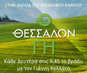 ΘΕΣΣΑΛΩΝ ΓΗ